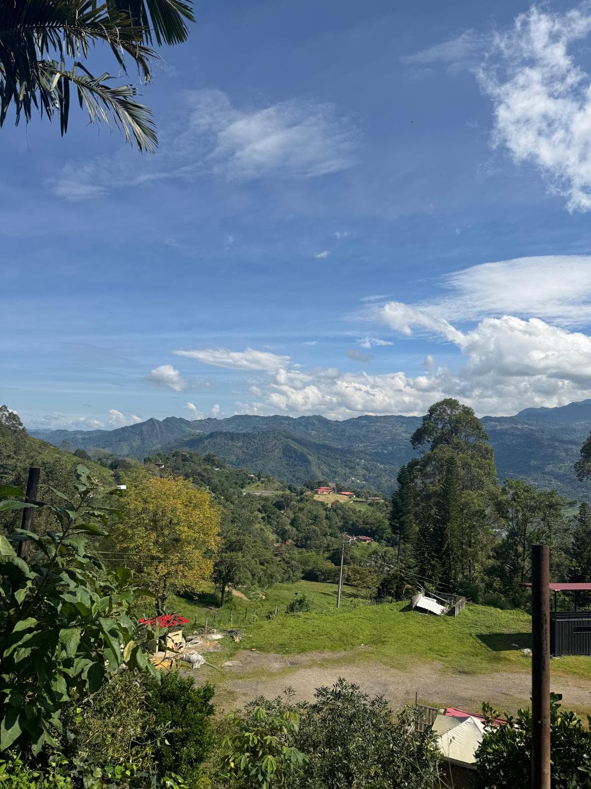 Washed parchment resting before sunrise