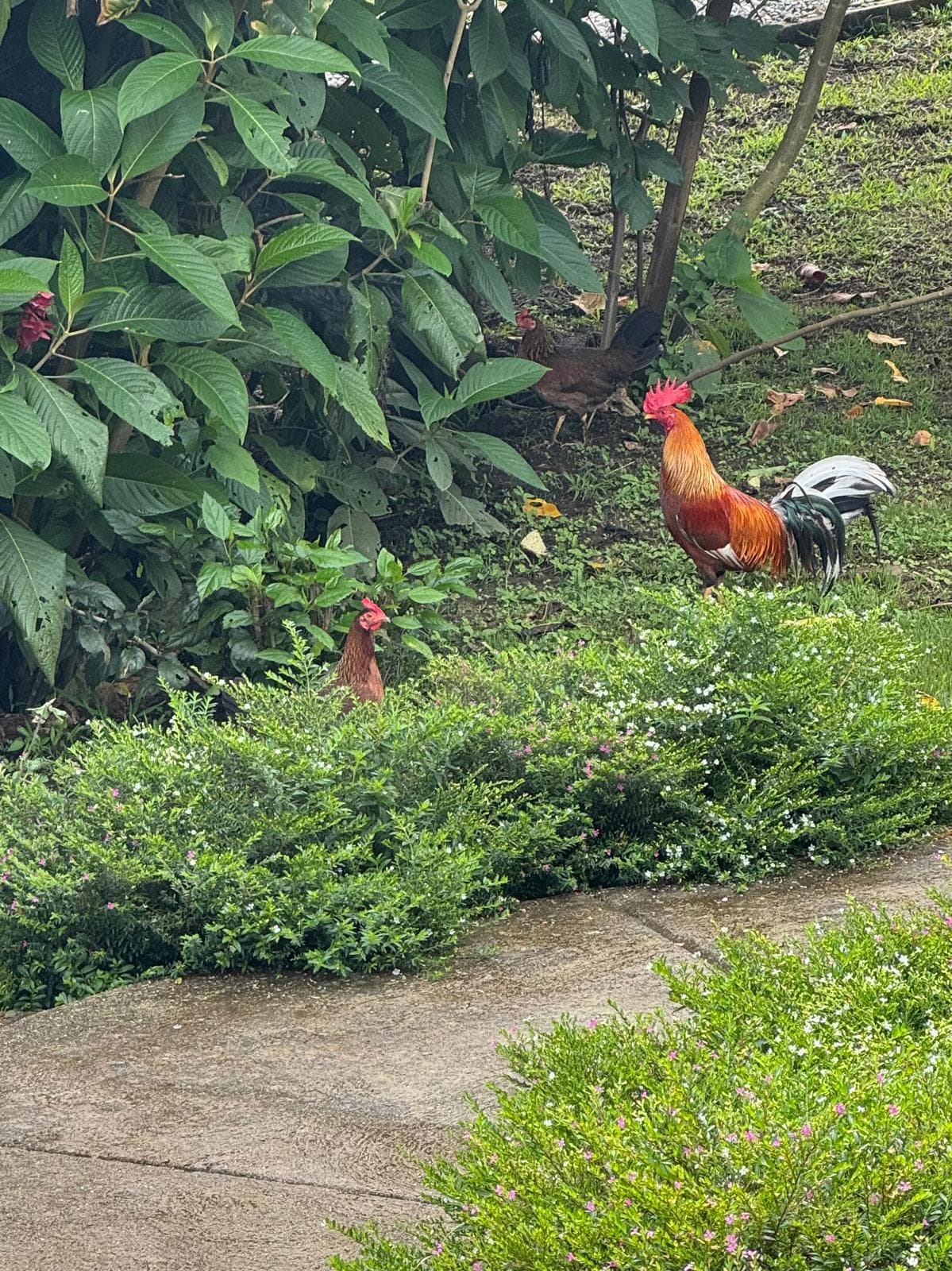 Early morning light at the wet mill