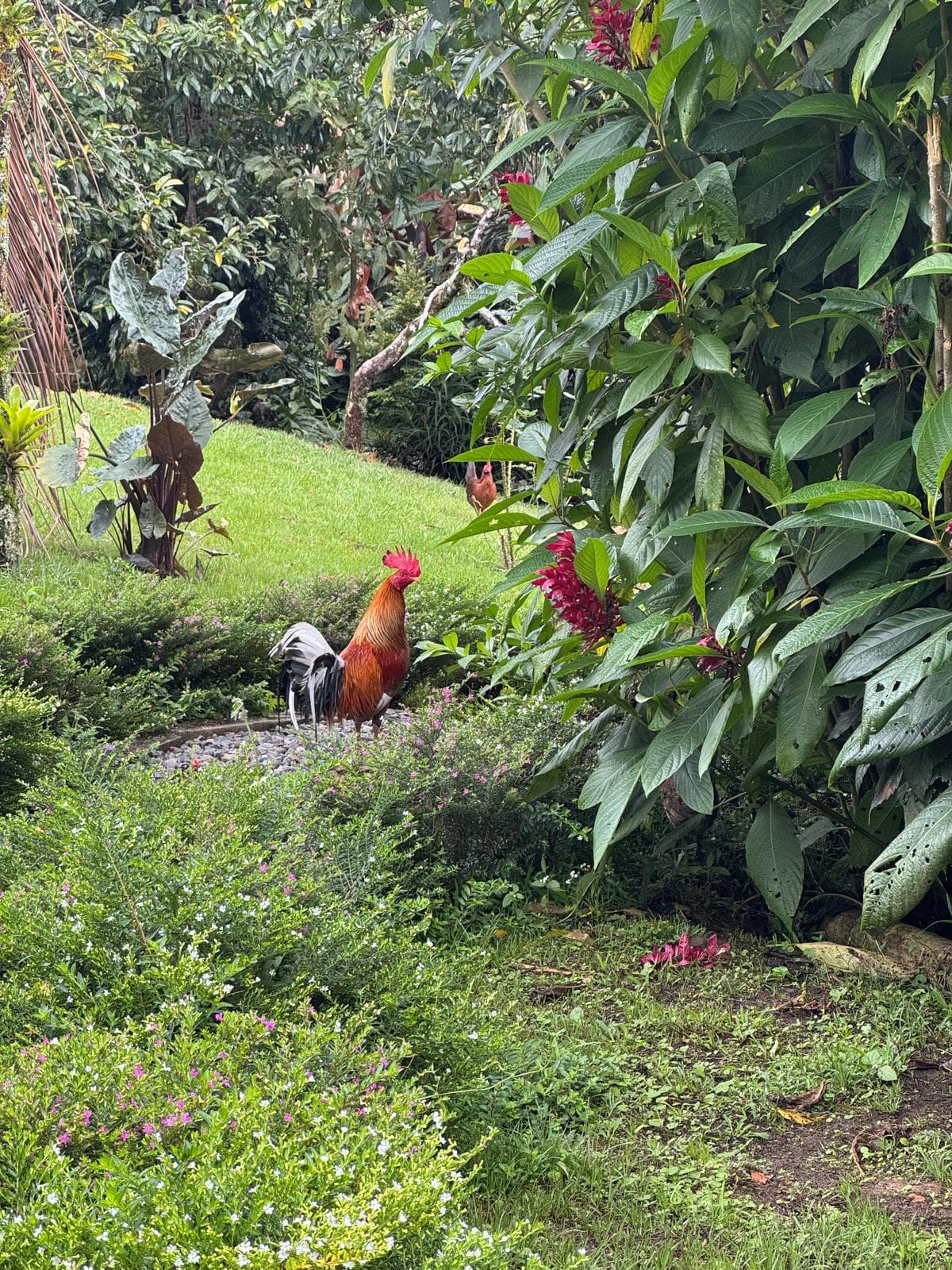 Fresh pick gathered on the farm road