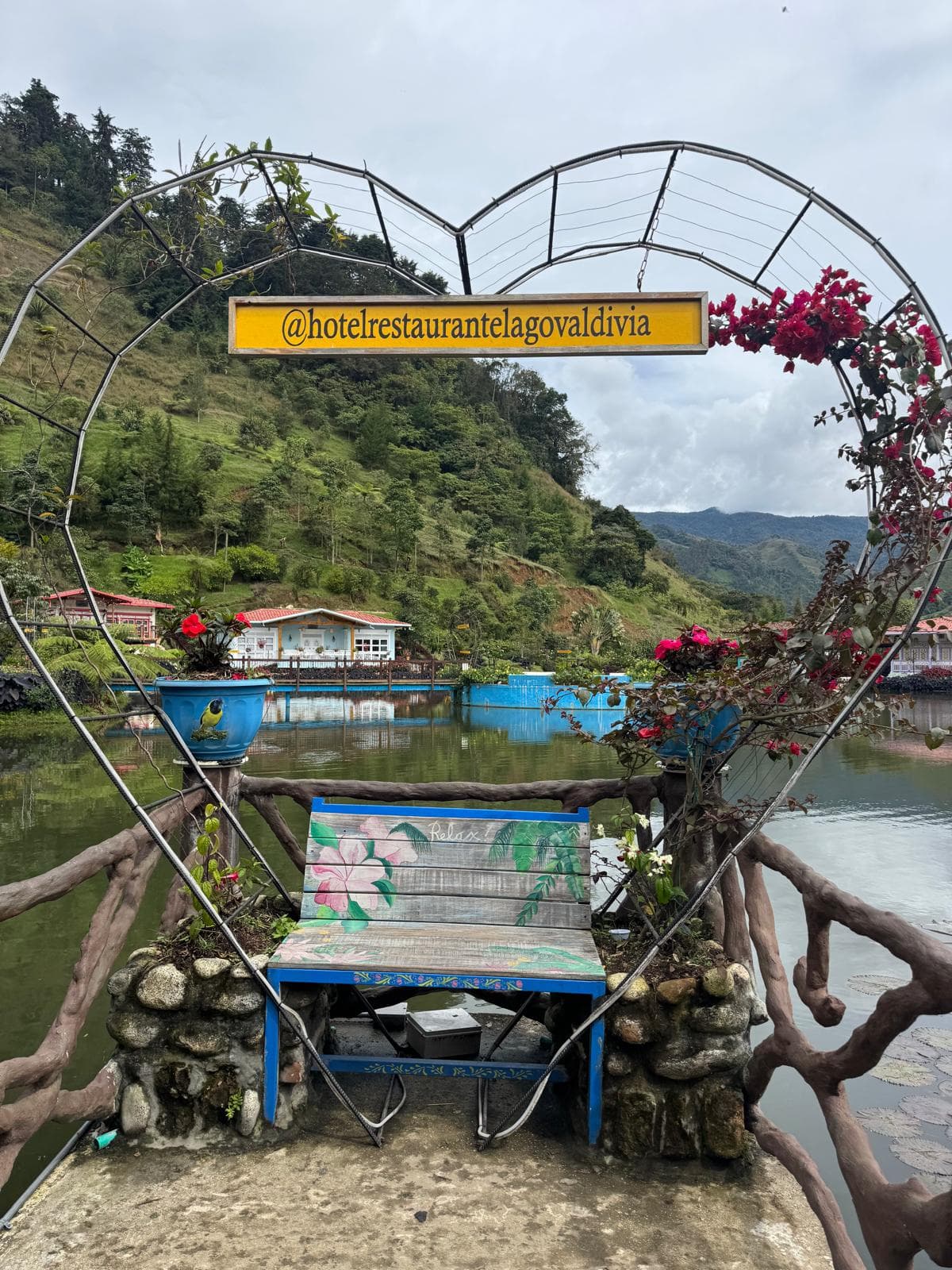 Washed lot laid out under soft light