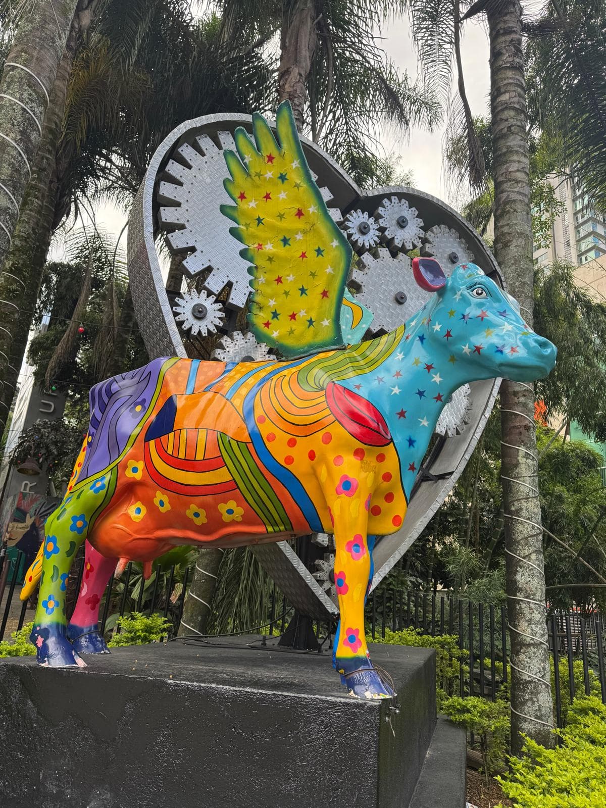Roja cherries collected at the mill