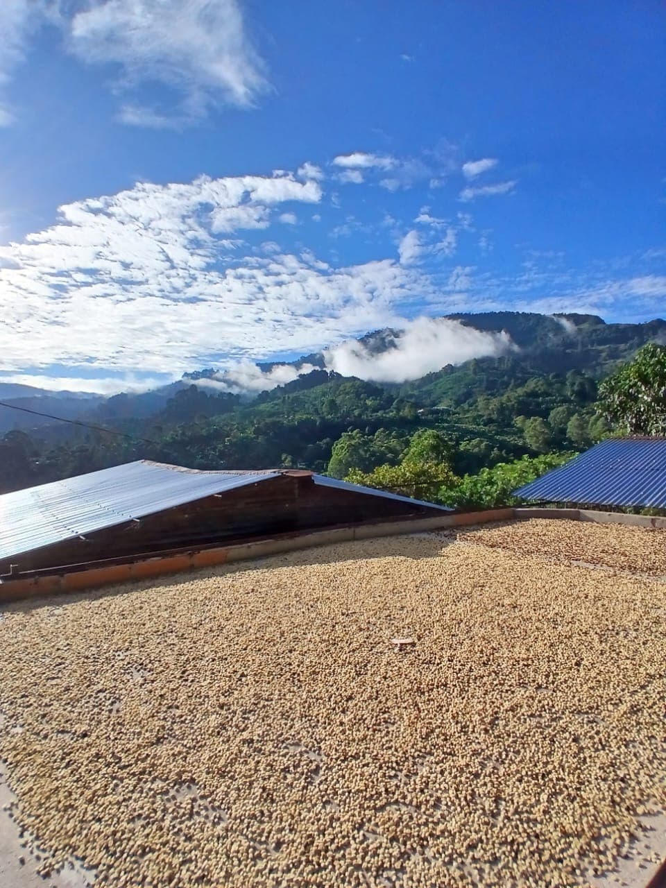Drying patio and tanks framed by bright clouds