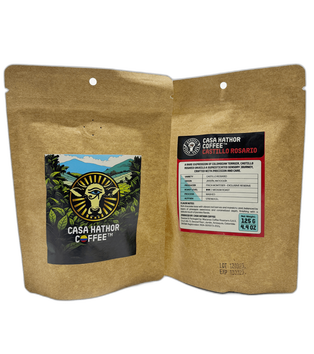 Castillo Rosario detail