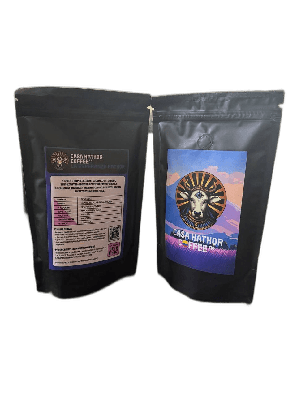 La Esperanza Hathor detail